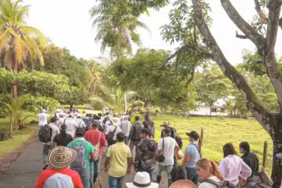 Imagen que representa y simboliza y refuerza el contenido de la noticia: ANT alcanza acuerdo de tierras en Hacienda Virgen del Cobre