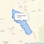 Comunidad de Guapa León en Chigorodó solicita ayuda por felino y cachorros