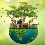 Camaleón de Urabá, semillas de sueños y guardianes de biodiversidad