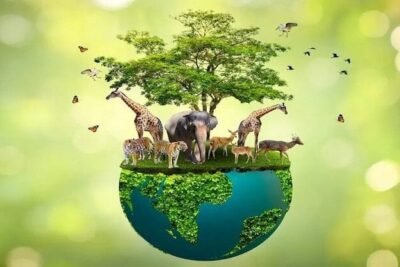 Imagen que representa y simboliza y refuerza el contenido de la noticia: Camaleón de Urabá, semillas de sueños y guardianes de biodiversidad