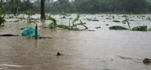 Imagen que representa y simboliza y refuerza el contenido de la noticia: Inundaciones en San Juan de Urabá y Necoclí Antioquia