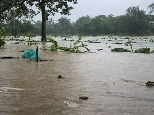 Inundaciones en San Juan de Urabá y Necoclí Antioquia Imagen que representa y simboliza y refuerza el contenido de la noticia: Inundaciones en San Juan de Urabá y Necoclí Antioquia