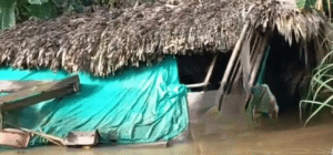 Imagen que representa y simboliza y refuerza el contenido de la noticia: Inundación en El Carmelo Arboletes causa una víctima mortal