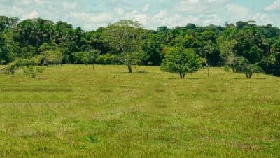 Imagen que representa y simboliza y refuerza el contenido de la noticia: Más de 6400 predios y 315000 animales afectados por lluvias