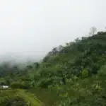 Reclamante de tierras de Urabá denuncia desplazamiento por amenazas