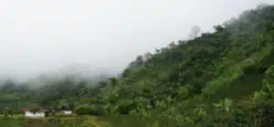 Imagen que representa y simboliza y refuerza el contenido de la noticia: Reclamante de tierras de Urabá denuncia desplazamiento por amenazas