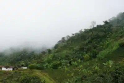 Imagen que representa y simboliza y refuerza el contenido de la noticia: Reclamante de tierras de Urabá denuncia desplazamiento por amenazas
