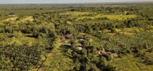 Imagen que representa y simboliza y refuerza el contenido de la noticia: Entrega de predios de Cuco Vanoy a víctimas en Urabá