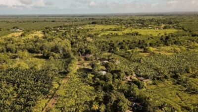 Imagen que representa y simboliza y refuerza el contenido de la noticia: Entrega de predios de Cuco Vanoy a víctimas en Urabá