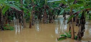 Imagen que representa y simboliza y refuerza el contenido de la noticia: Gobernación de Antioquia envía ayuda humanitaria a Urabá