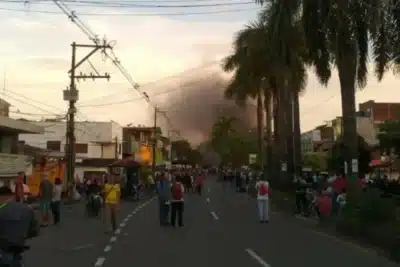 Imagen que representa y simboliza y refuerza el contenido de la noticia: Recuperan terreno de 28 hectáreas en Chigorodó, Antioquia, por palma