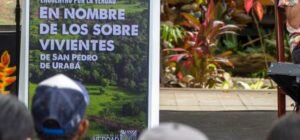 Imagen que representa y simboliza y refuerza el contenido de la noticia: JEP acusa a militares, exguerrilleros y civiles por violencia en Urabá