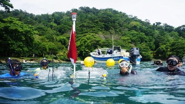 Imagen que representa y simboliza y refuerza el contenido de la noticia: Academia de formación y aprendizaje en diversas disciplinas