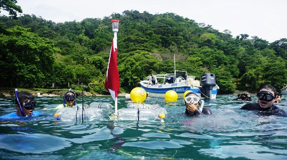 Imagen que representa y simboliza y refuerza el contenido de la noticia: Academia de formación y aprendizaje en diversas disciplinas