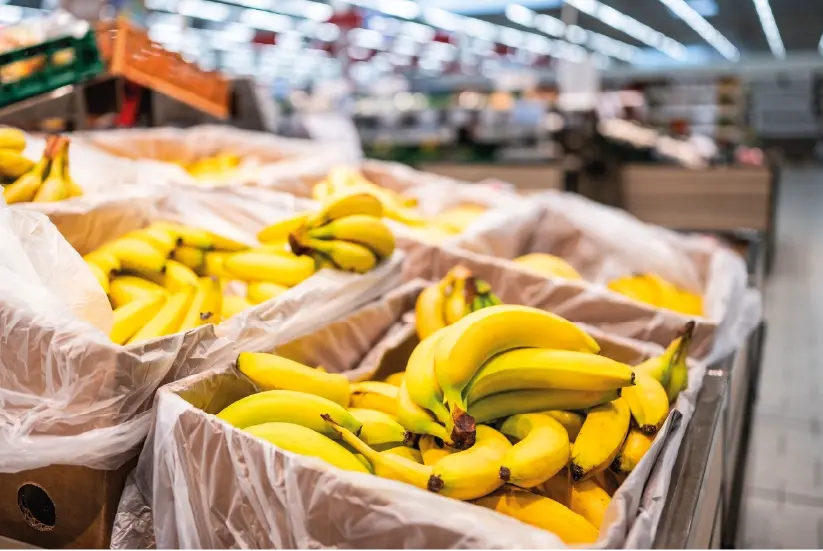 Imagen que representa y simboliza y refuerza el contenido de la noticia: Exportaciones de banano alcanzan 1.309 millones de USD en 2025