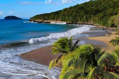 Exportaciones del Caribe: oportunidades y desafíos actuales Exportaciones del Caribe colombiano: oportunidades y desafíos