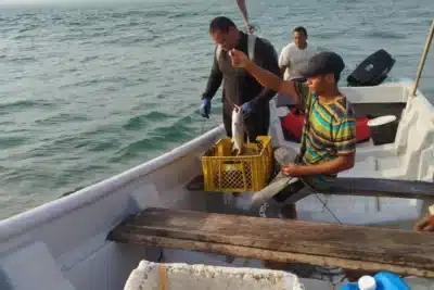 Imagen que representa y simboliza y refuerza el contenido de la noticia: Boletín meteomarino de la Gobernación de Antioquia para pescadores y navegantes del Golfo de Urabá