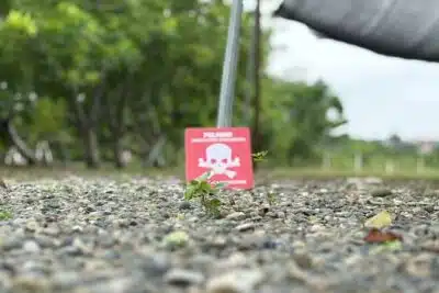 Imagen que representa y simboliza y refuerza el contenido de la noticia: Carepa vuelve a caminar sin miedo tras 30 años de minas