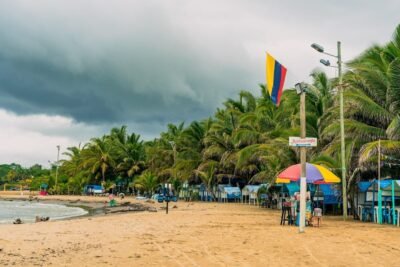 Imagen que representa y simboliza y refuerza el contenido de la noticia: Descubre la tierra de árboles en Antioquia y su nuevo atractivo turístico