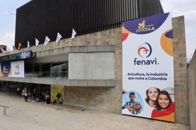 Imagen que representa y simboliza y refuerza el contenido de la noticia: Antioquia aporta 18% de la producción de pollos y huevos en Colombia