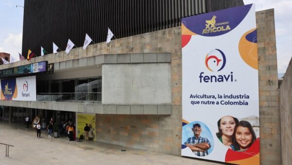 Imagen que representa y simboliza y refuerza el contenido de la noticia: Antioquia aporta 18% de la producción de pollos y huevos en Colombia