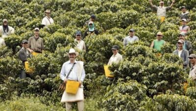 Imagen que representa y simboliza y refuerza el contenido de la noticia: Antioquia apoyará a caficultores con créditos y subsidios climáticos