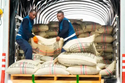 Puerto Antioquia despacha su primer cargamento de café al exterior Imagen que representa y simboliza y refuerza el contenido de la noticia: Puerto Antioquia despacha su primer cargamento de café al exterior