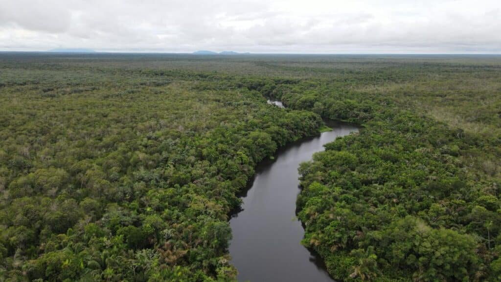 Surikí, paraíso natural en Urabá Antioqueño y su conservación Imagen que representa y simboliza y refuerza el contenido de la noticia: Surikí, paraíso natural en Urabá Antioqueño y su conservación