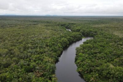 Surikí, paraíso natural en Urabá Antioqueño y su conservación Imagen que representa y simboliza y refuerza el contenido de la noticia: Surikí, paraíso natural en Urabá Antioqueño y su conservación