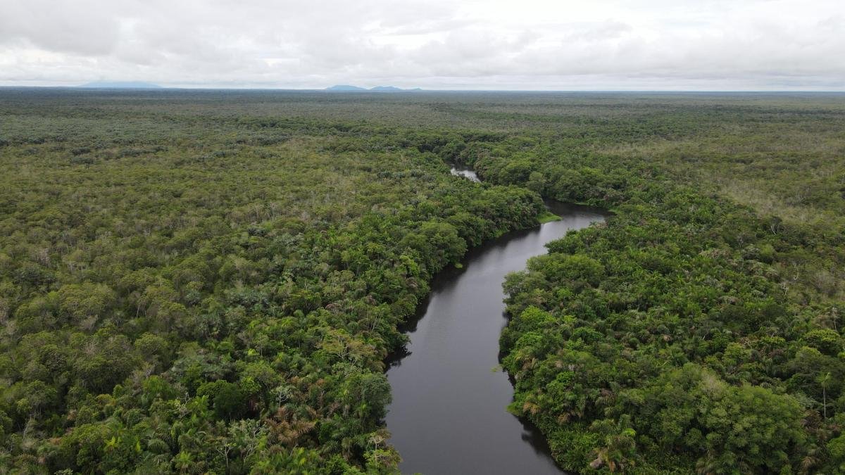 Imagen que representa y simboliza y refuerza el contenido de la noticia: Surikí, paraíso natural en Urabá Antioqueño y su conservación