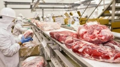 Imagen que representa y simboliza y refuerza el contenido de la noticia: Exportaciones de carne entre Colombia y China tras visita sanitaria