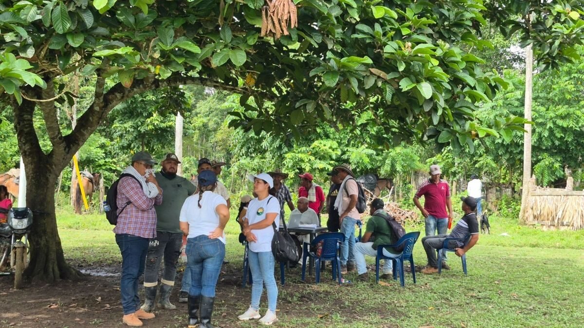 Imagen que representa y simboliza y refuerza el contenido de la noticia: Restitución de 300 hectáreas a campesinos antioqueños despojados