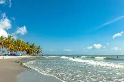 Despertar turístico en Necoclí con 32 negocios en Urabá antioqueño Imagen que representa y simboliza y refuerza el contenido de la noticia: Despertar turístico en Necoclí con 32 negocios en Urabá antioqueño