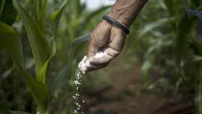 Imagen que representa y simboliza y refuerza el contenido de la noticia: Fertilizantes en Colombia cifras y datos esenciales