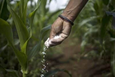 Imagen que representa y simboliza y refuerza el contenido de la noticia: Fertilizantes en Colombia cifras y datos esenciales