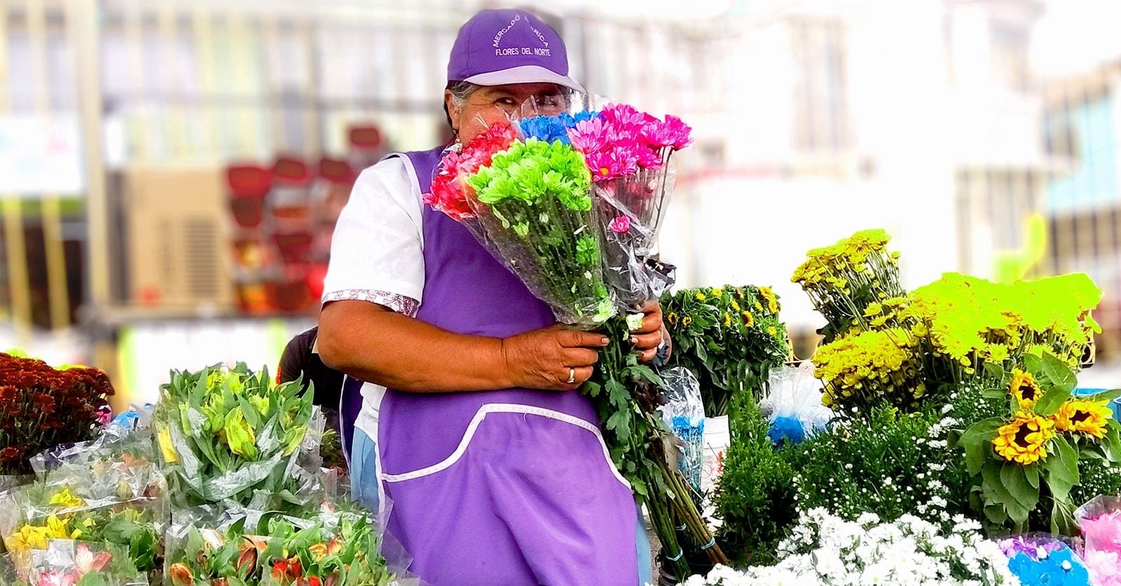 Imagen que representa y simboliza y refuerza el contenido de la noticia: La Feria de las Flores empieza mucho antes: así se mueve la economía popular que la hace posible