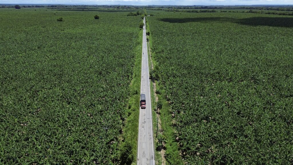 Urabá agroindustrial: competir no será vender más de lo mismo, sino vender con más valor Imagen que representa y simboliza y refuerza el contenido de la noticia: Urabá agroindustrial: competir no será vender más de lo mismo, sino vender con más valor