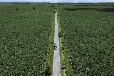 Imagen que representa y simboliza y refuerza el contenido de la noticia: Urabá agroindustrial: competir no será vender más de lo mismo, sino vender con más valor
