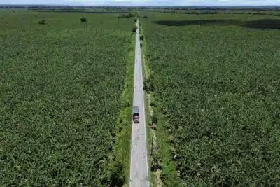 Urabá agroindustrial: competir no será vender más de lo mismo, sino vender con más valor Imagen que representa y simboliza y refuerza el contenido de la noticia: Urabá agroindustrial: competir no será vender más de lo mismo, sino vender con más valor