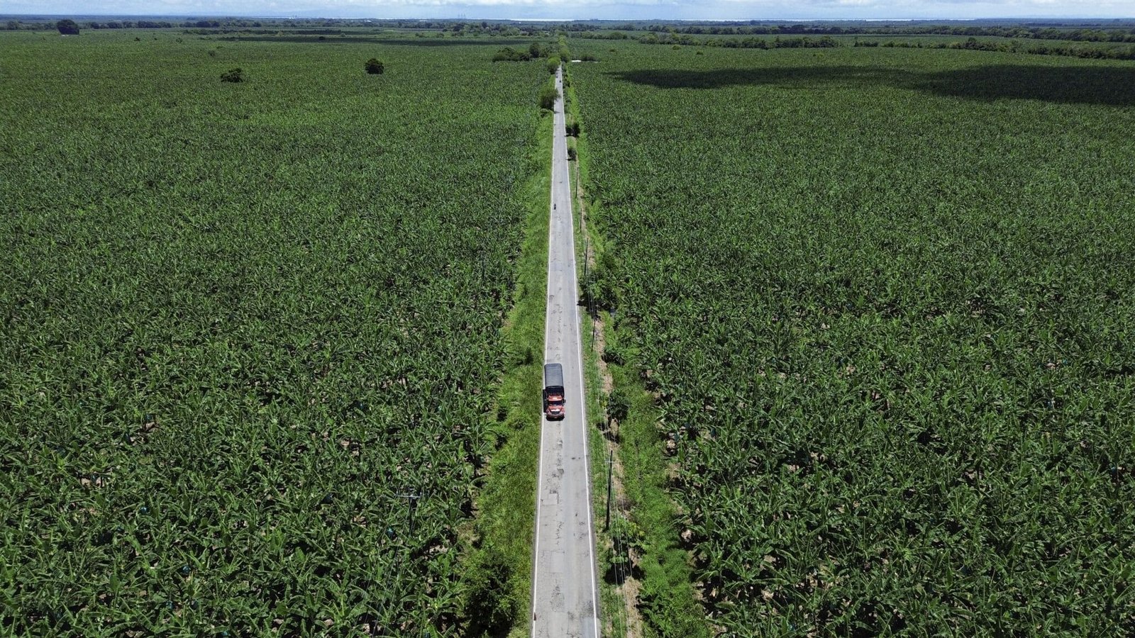 Imagen que representa y simboliza y refuerza el contenido de la noticia: Urabá agroindustrial: competir no será vender más de lo mismo, sino vender con más valor