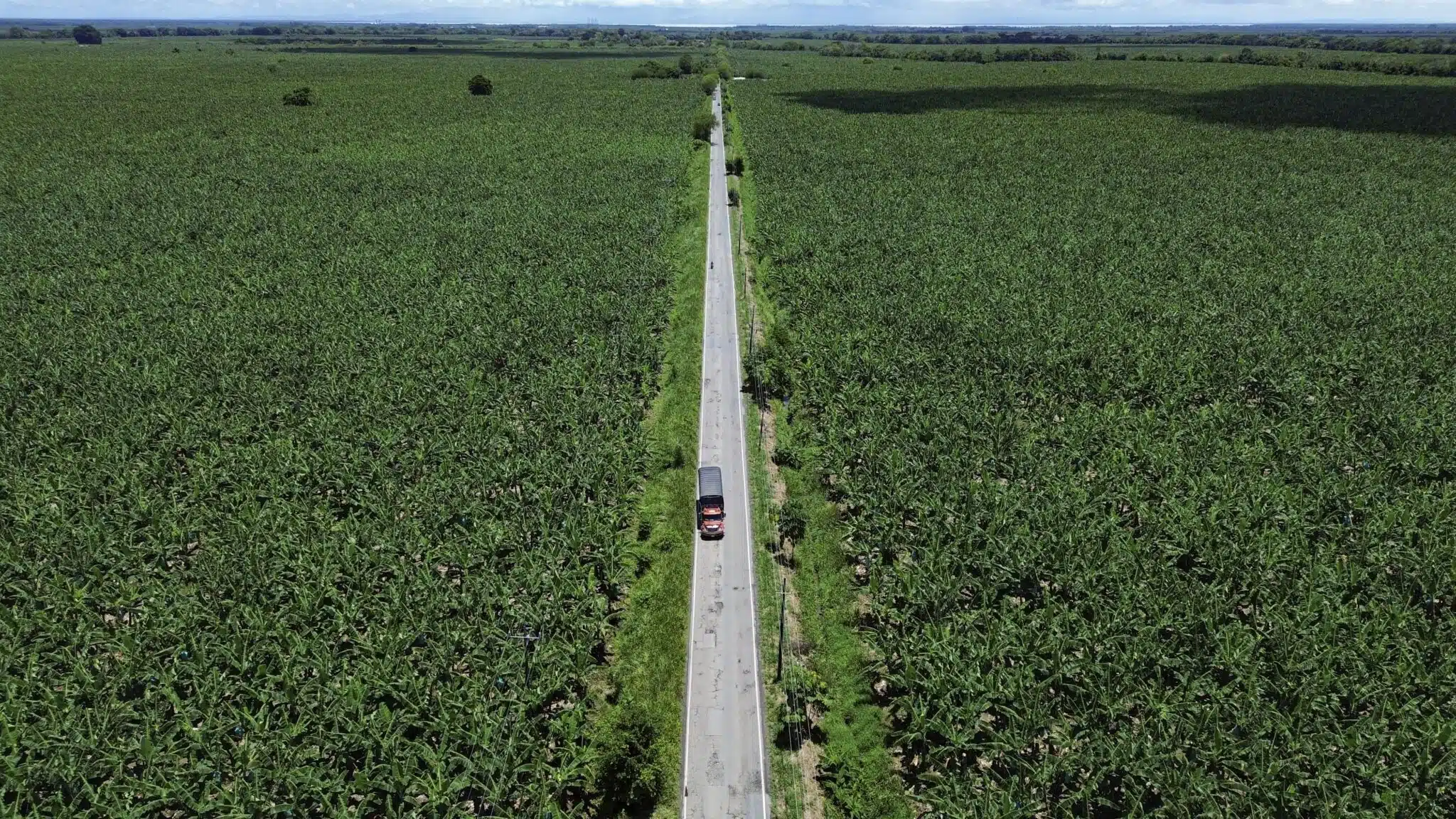 Urabá agroindustrial: competir vendiendo con más valor agregado