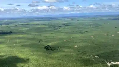 Imagen que representa y simboliza y refuerza el contenido de la noticia: Urabá impulsa innovación y sostenibilidad con apoyo de la UE