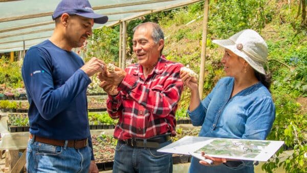 Imagen que representa y simboliza y refuerza el contenido de la noticia: Agroempresas: crecimiento, empleo y transformación que fortalecen los territorios de Colombia