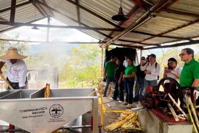 Bancolombia conecta pequeños productores con oportunidades en Urabá y Cundinamarca Imagen que representa y simboliza y refuerza el contenido de la noticia: Bancolombia conecta pequeños productores con oportunidades en Urabá y Cundinamarca