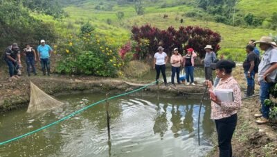 Imagen que representa y simboliza y refuerza el contenido de la noticia: ICA impulsa la transformación de la acuicultura en Urabá Antioqueño