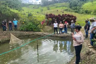 ICA impulsa la transformación de la acuicultura en Urabá Antioqueño Imagen que representa y simboliza y refuerza el contenido de la noticia: ICA impulsa la transformación de la acuicultura en Urabá Antioqueño