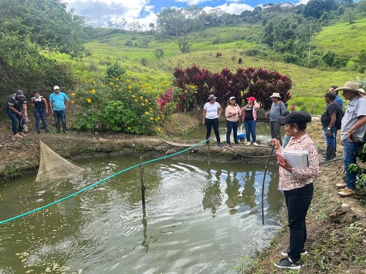 Imagen que representa y simboliza y refuerza el contenido de la noticia: ICA impulsa la transformación de la acuicultura en Urabá Antioqueño