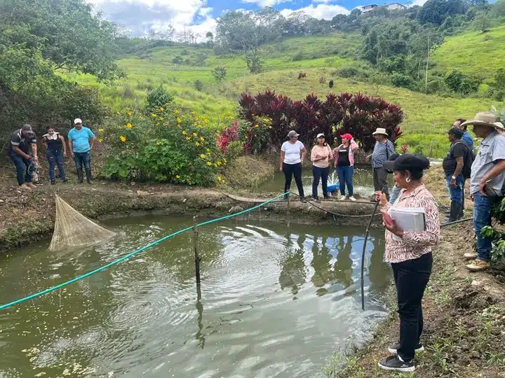 Imagen que representa y simboliza y refuerza el contenido de la noticia: ICA impulsa la transformación de la acuicultura en Urabá Antioqueño