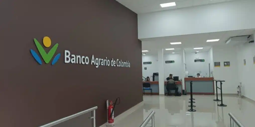 Banco Agrario abriría cupo de $500.000 millones para productores de Urabá