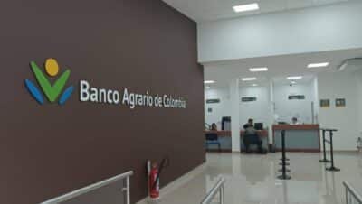 Banco Agrario abriría cupo de $500.000 millones para productores de Urabá